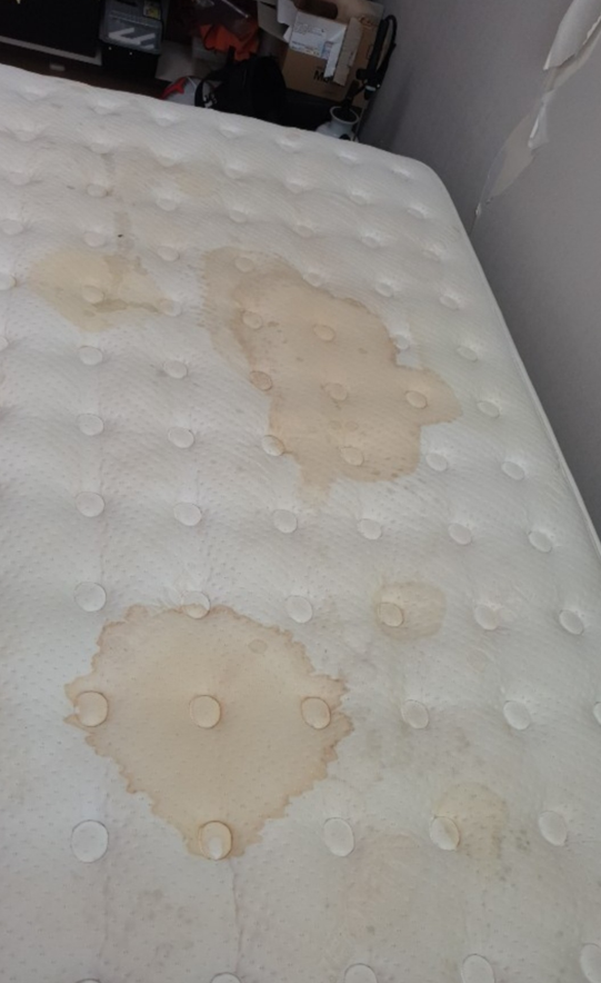 가정집 매트리스 케어 사례｜눈에 보이지 않는 오염까지 관리한 과정